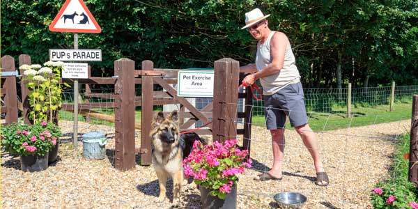 The caravan park;s onsite dog-walk, you can bring up to 2 dogs free of charge